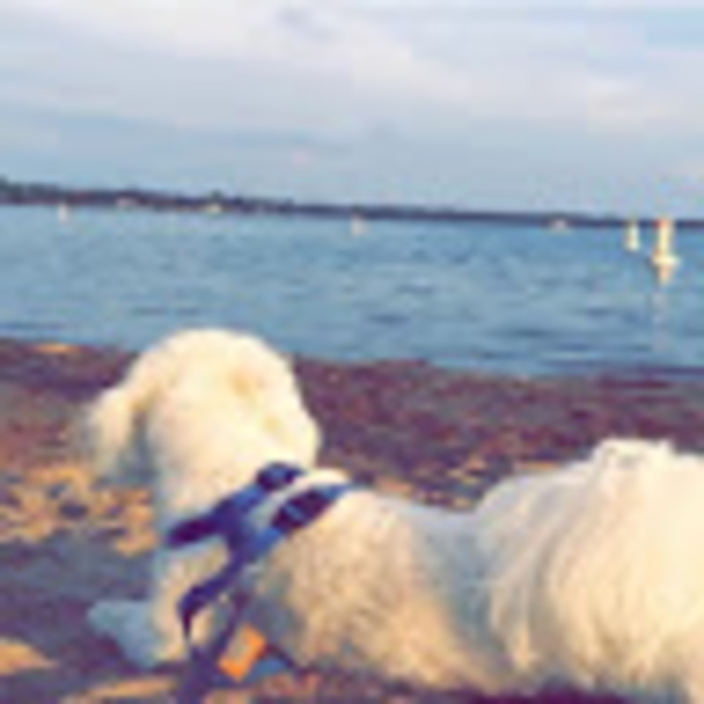 Meet your Posher, Nada